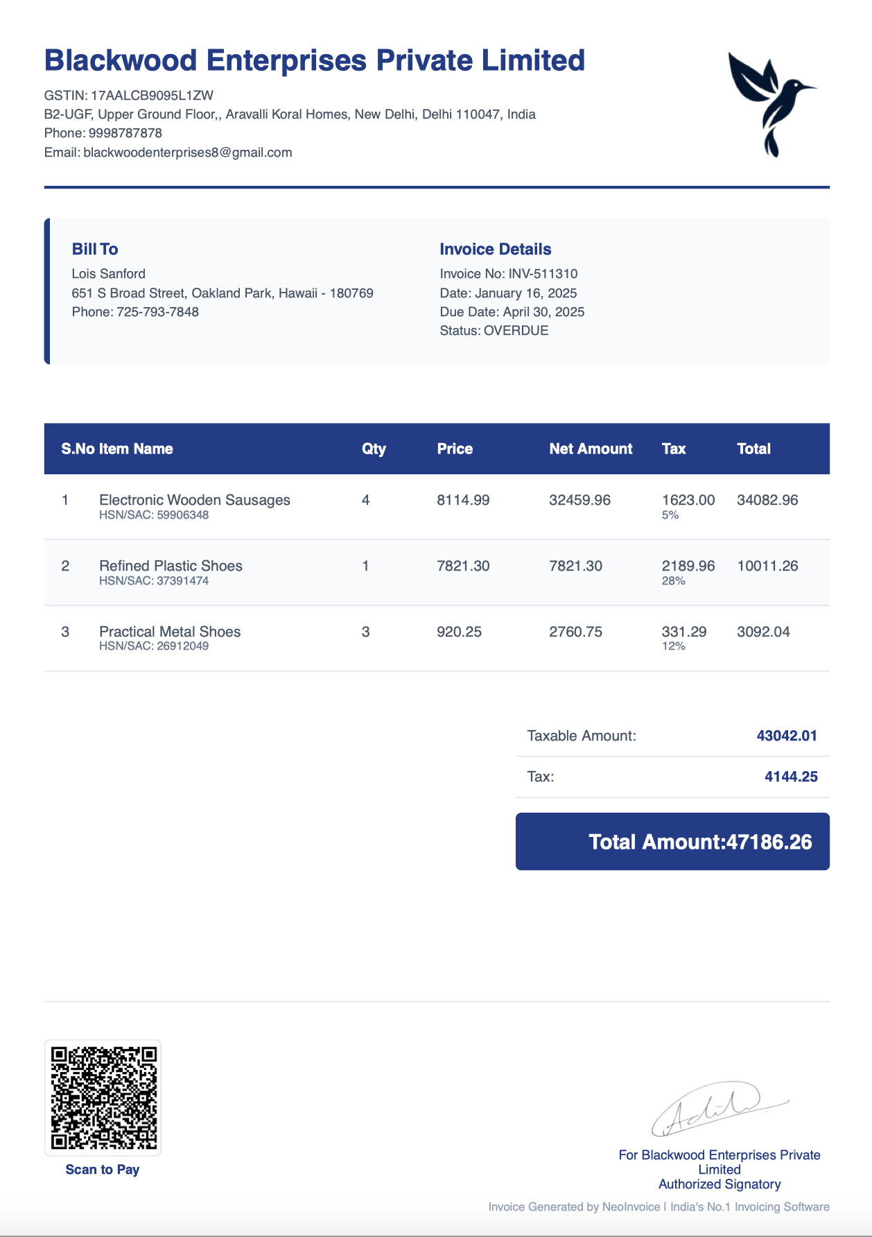 Professional Invoice Template